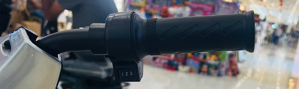 Rohan Wings JML-6 Delivery Scooter